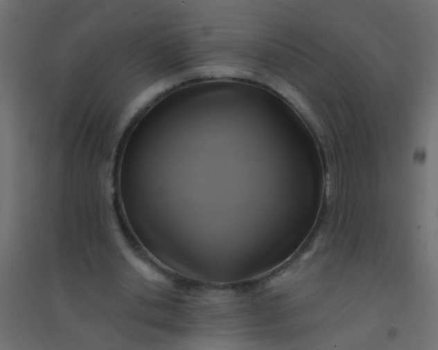 X0000094900438200712131434