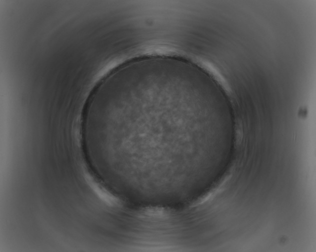 X0000094900439200712131434