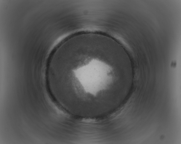 X0000094900440200712131434
