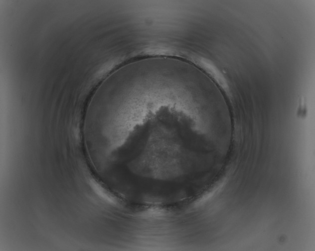 X0000094900441200712131434