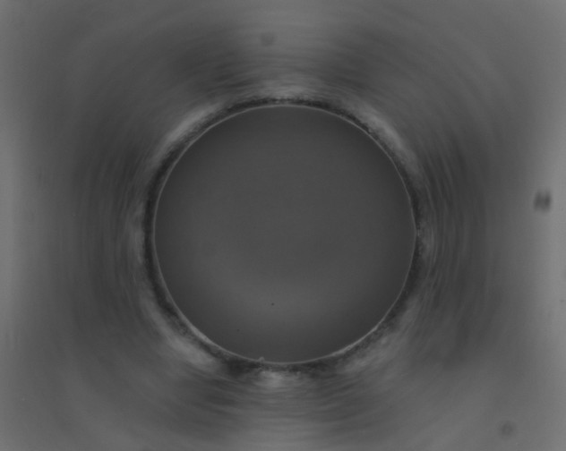 X0000094900442200712131434