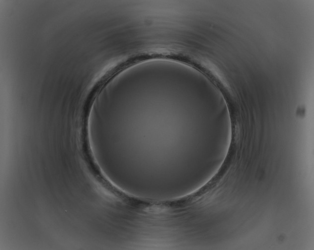 X0000094900444200712131434