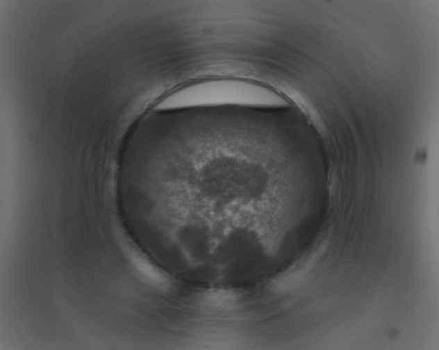 X0000094900445200712131434