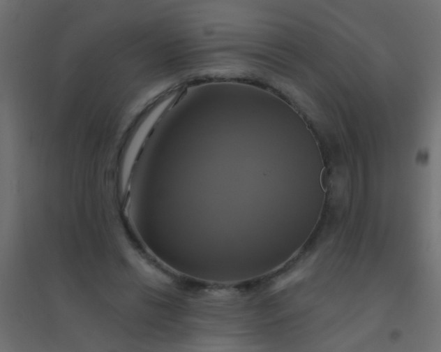 X0000094900446200712131434