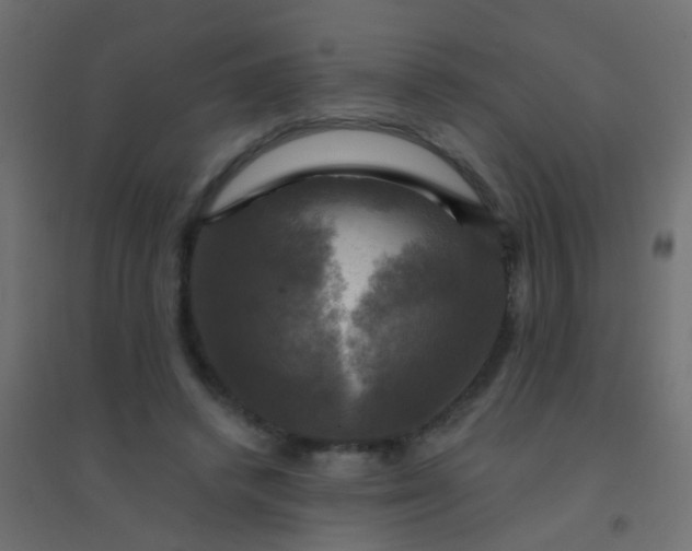 X0000094900448200712131434