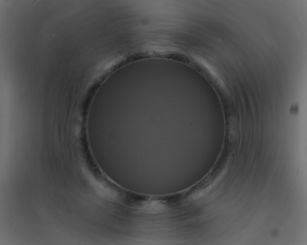 X0000094900451200712131434