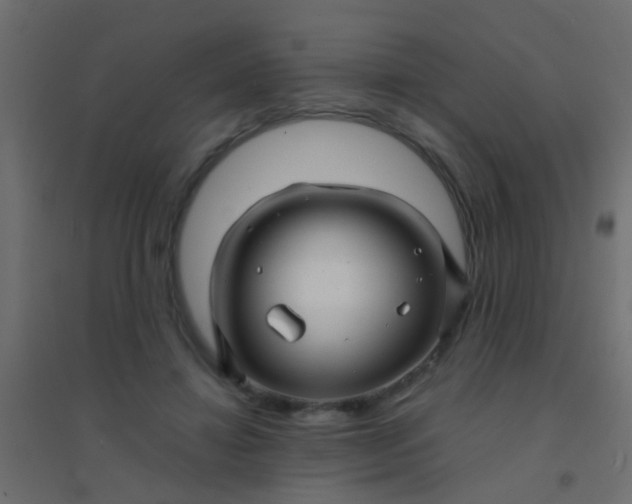 X0000094900452200712131434