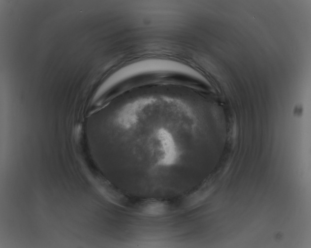 X0000094900456200712131434