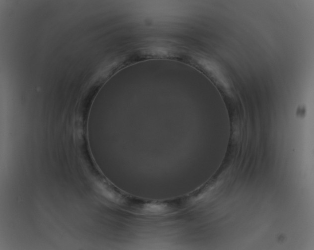 X0000094900457200712131434