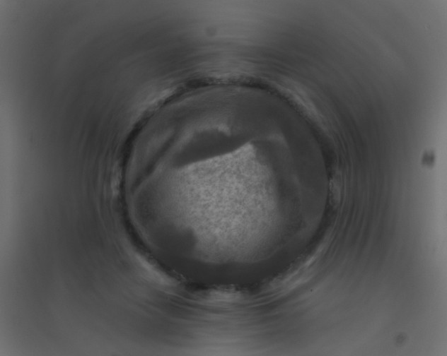 X0000094900458200712131434