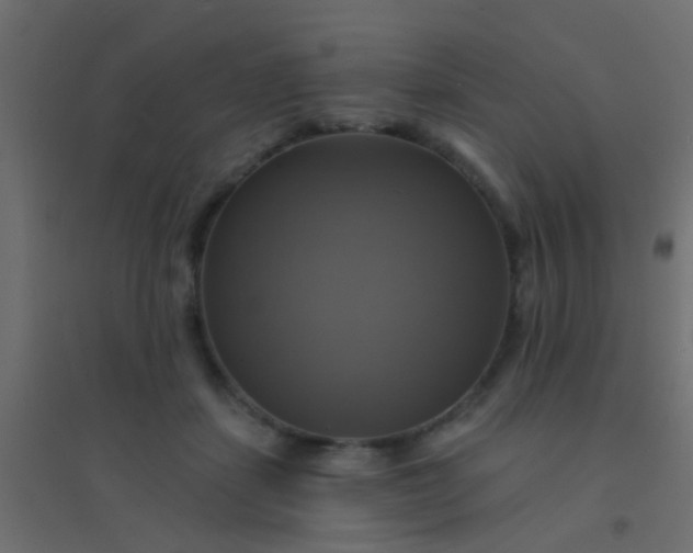 X0000094900459200712131434