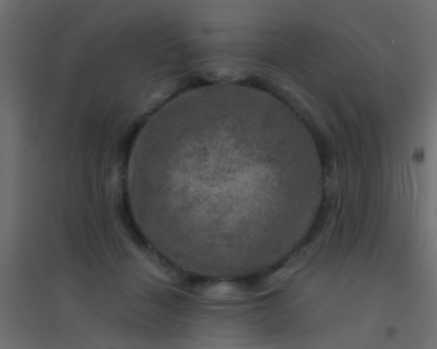 X0000094900460200712131434