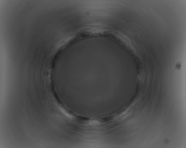 X0000094900462200712131434