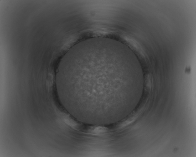 X0000094900463200712131434