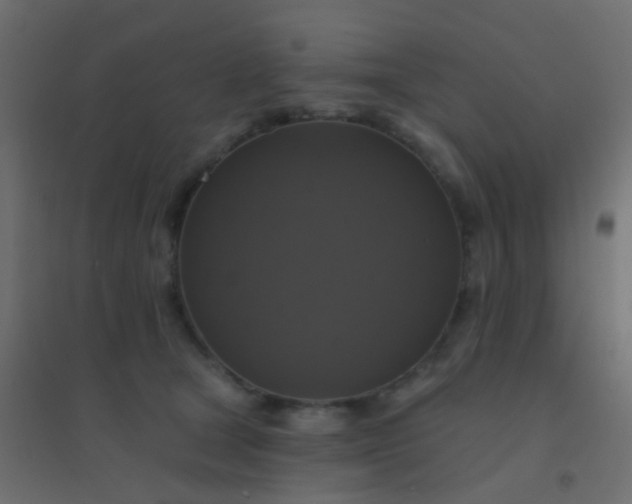 X0000094900465200712131434