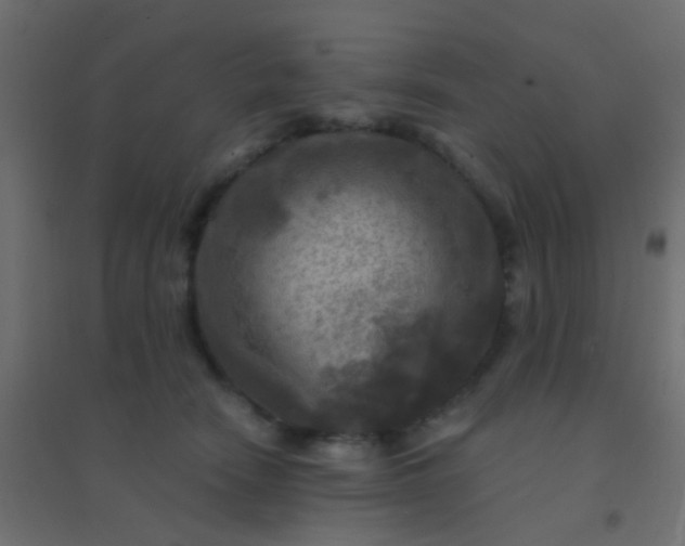 X0000094900466200712131434