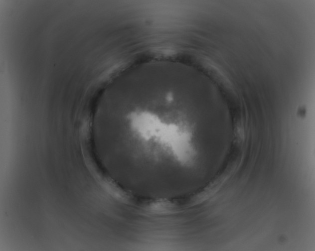 X0000094900468200712131434