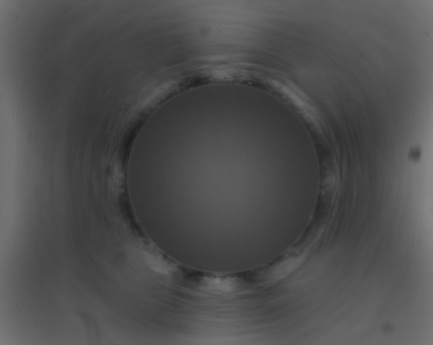 X0000094900469200712131434