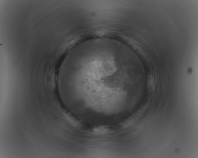 X0000094900470200712131434