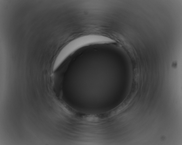 X0000094900471200712131434