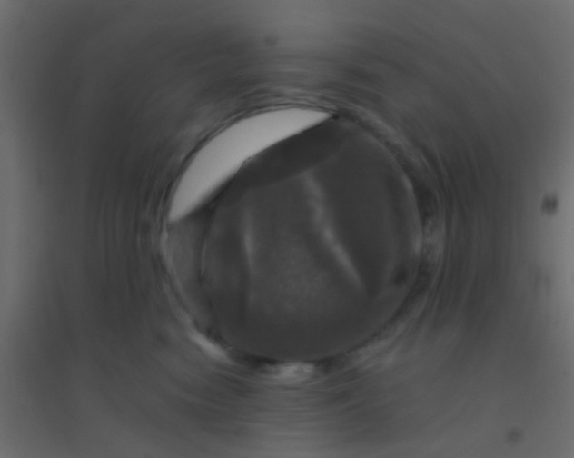 X0000094900474200712131434