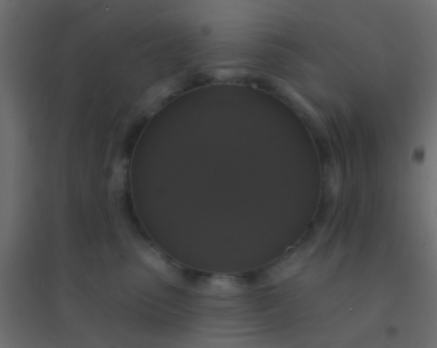 X0000094900475200712131434