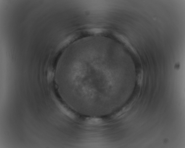 X0000094900476200712131434