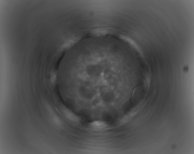 X0000094900477200712131434