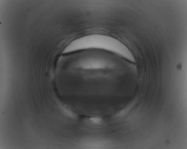 X0000094900478200712131434
