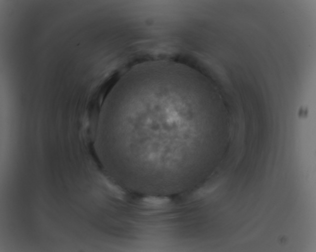 X0000094900480200712131434