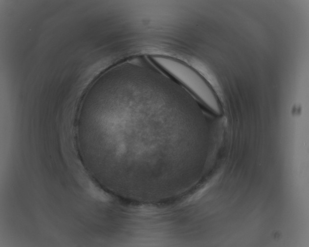 X0000094900481200712131434