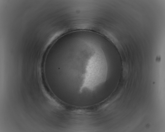 X0000094900482200712131434