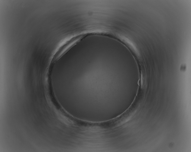 X0000094900483200712131434