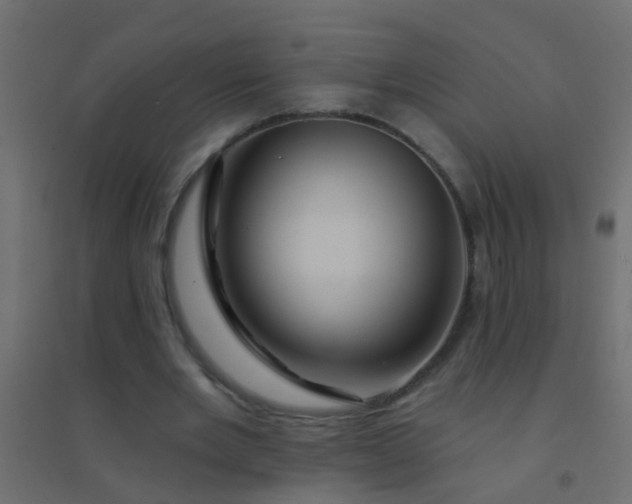 X0000094900485200712131434