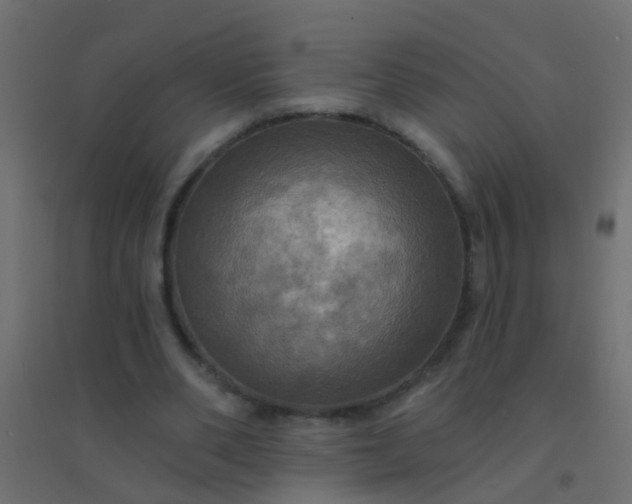 X0000094900486200712131434