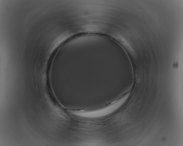 X0000094900488200712131434