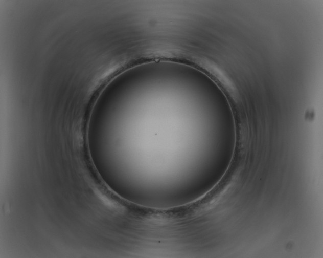 X0000094900489200712131434