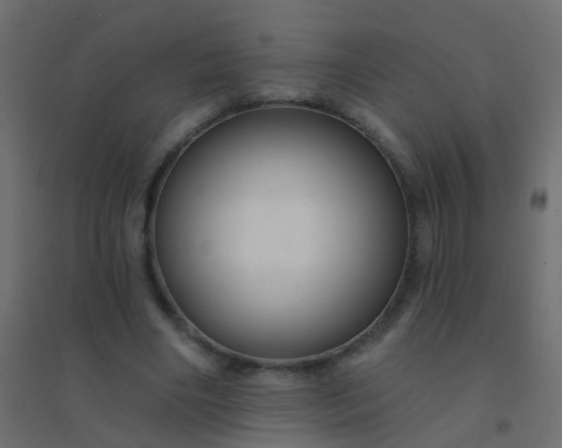 X0000094900490200712131434