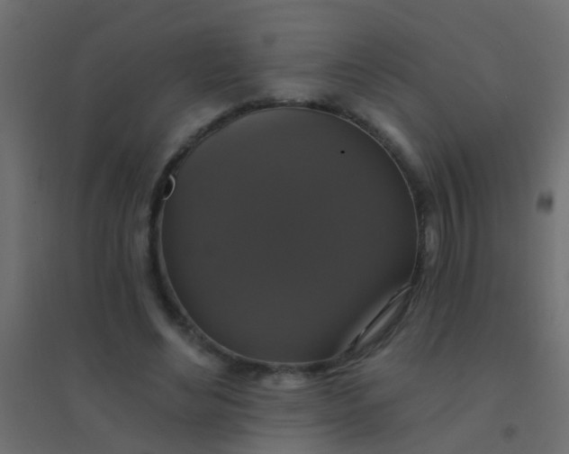 X0000094900492200712131434