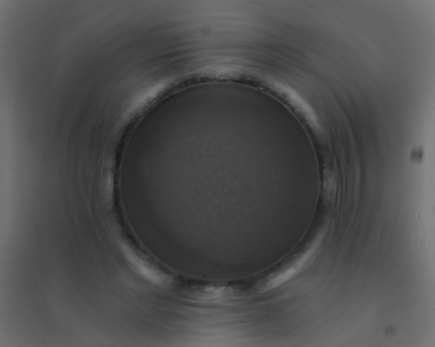 X0000094900493200712131434