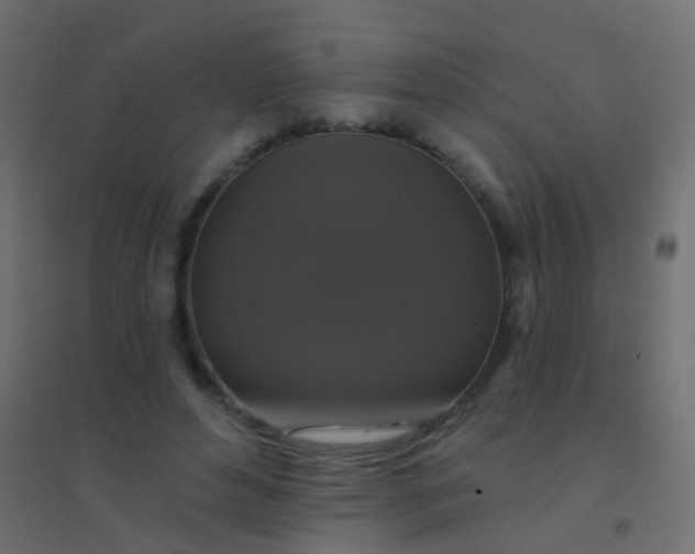 X0000094900496200712131434