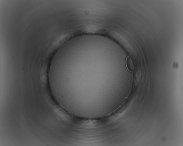 X0000094900497200712131433