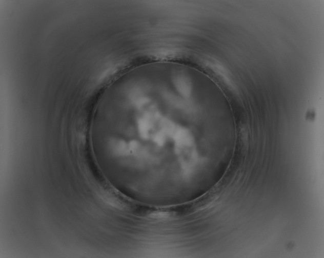 X0000094900499200712131433