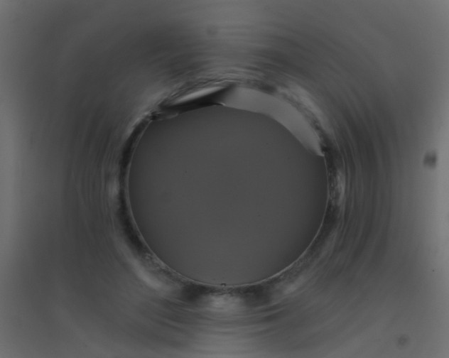 X0000094900500200712131433