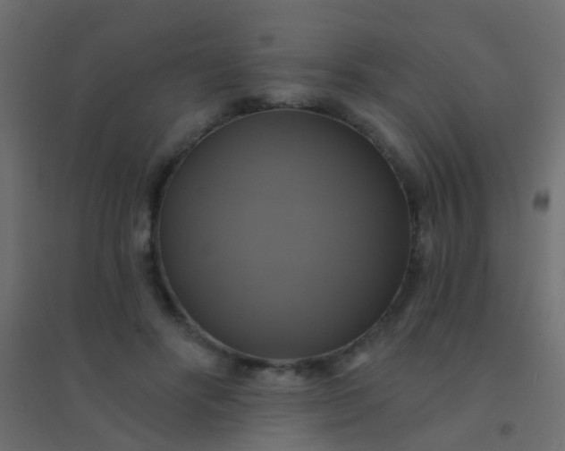 X0000094900502200712131433