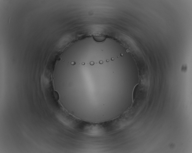 X0000094900503200712131433