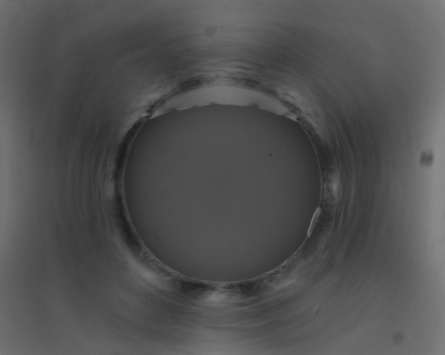 X0000094900504200712131433