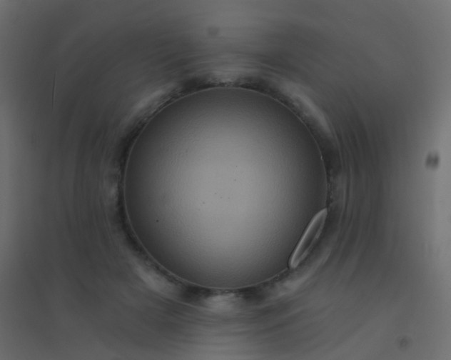 X0000094900505200712131433