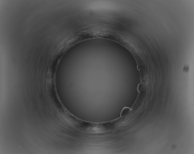 X0000094900506200712131433