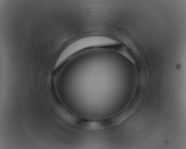 X0000094900509200712131433